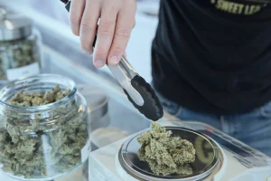 add weed h3PWUqxpP 0 unsplash scaled