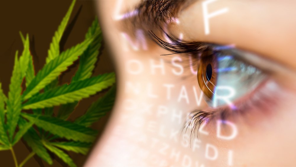 medical-marijuana-glaucoma2