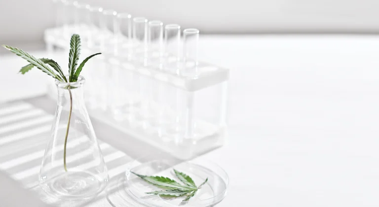THC acetate