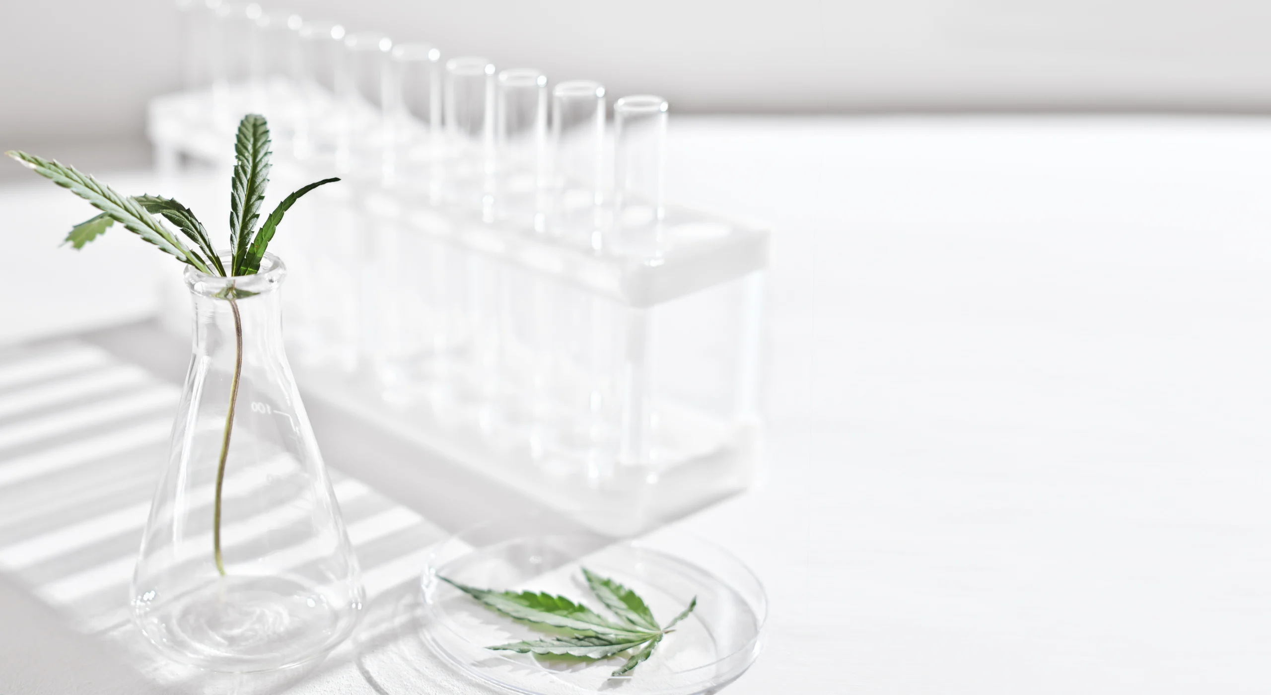 THC acetate