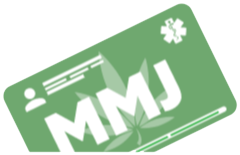 mmj 1
