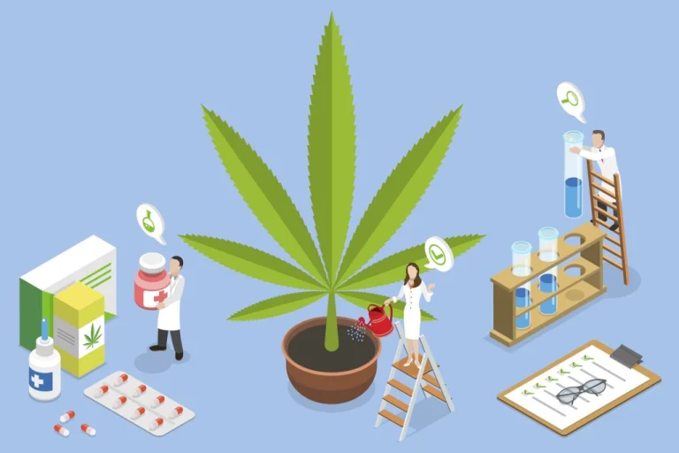 Male Weed Plants