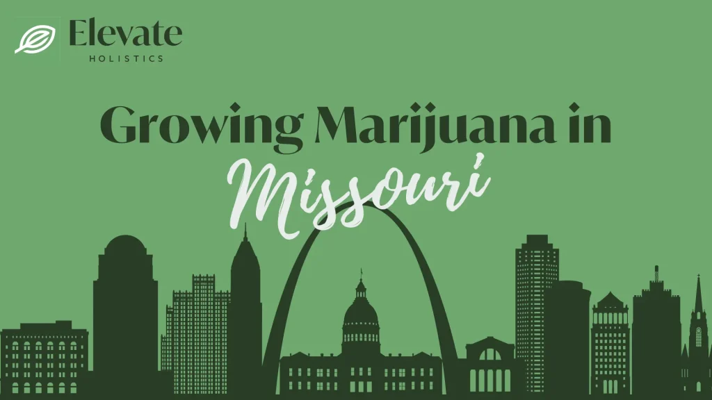 How Many Marijuana Plants Can You Grow in Missouri?