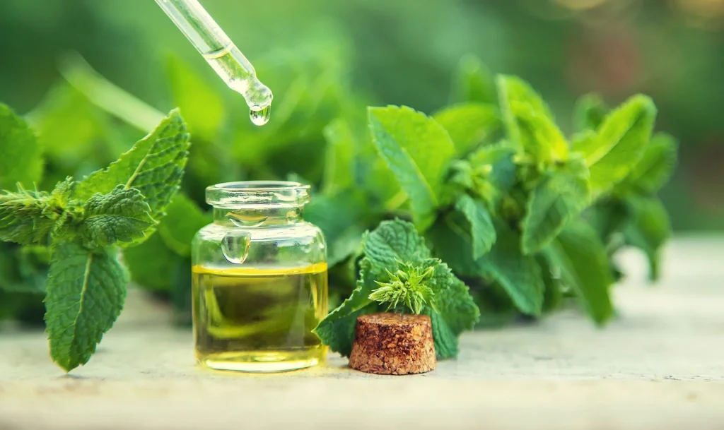 ocimene terpene