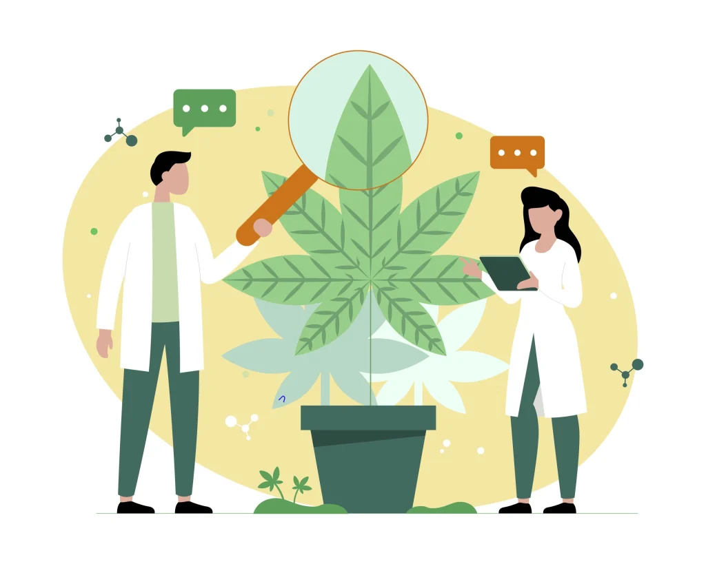 male weed plants
