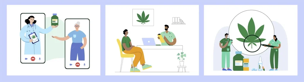 what is a marijuana doctor
