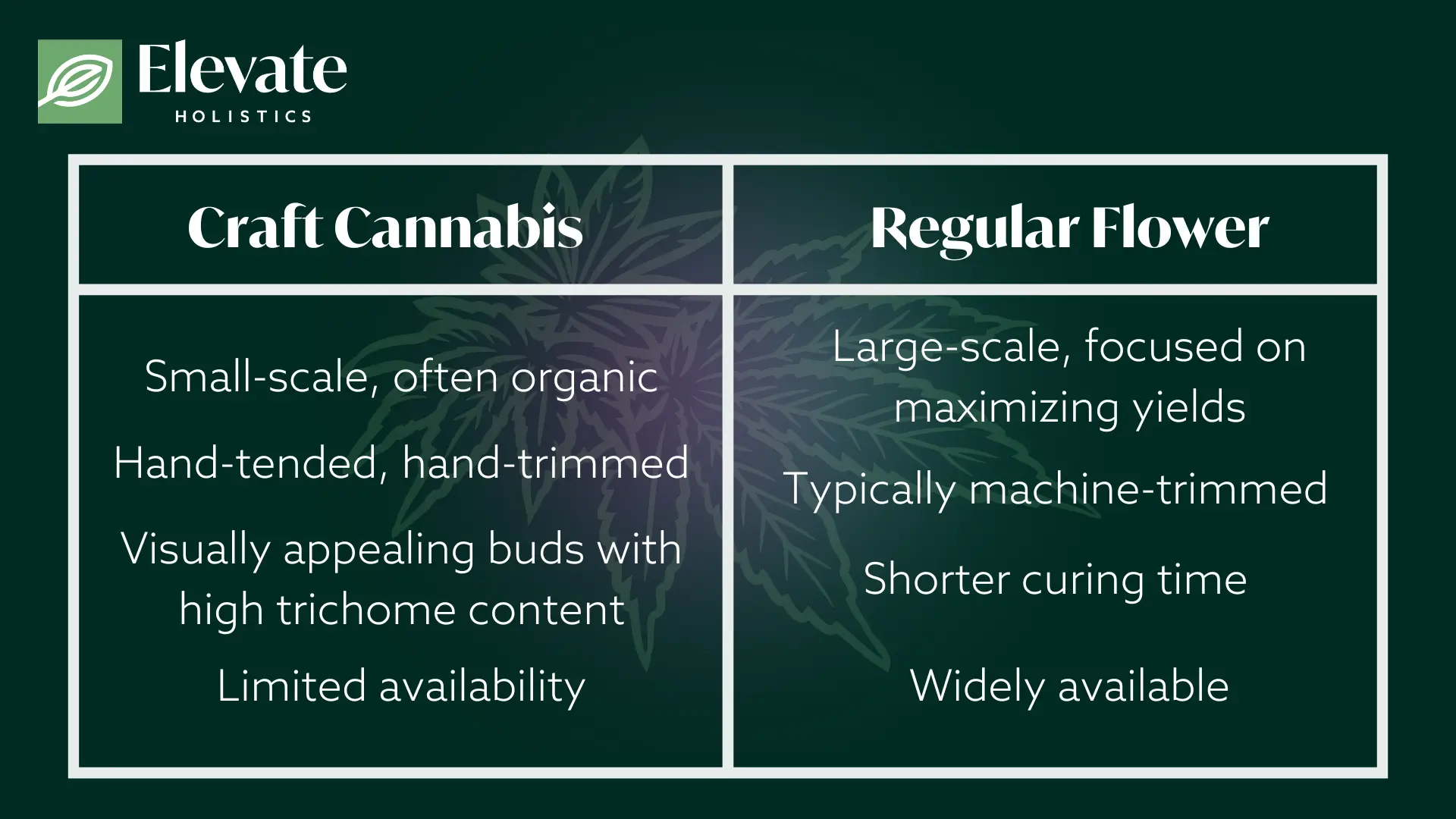 craft cannabis