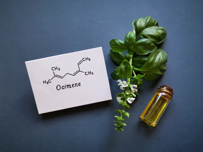 Ocimene terpene