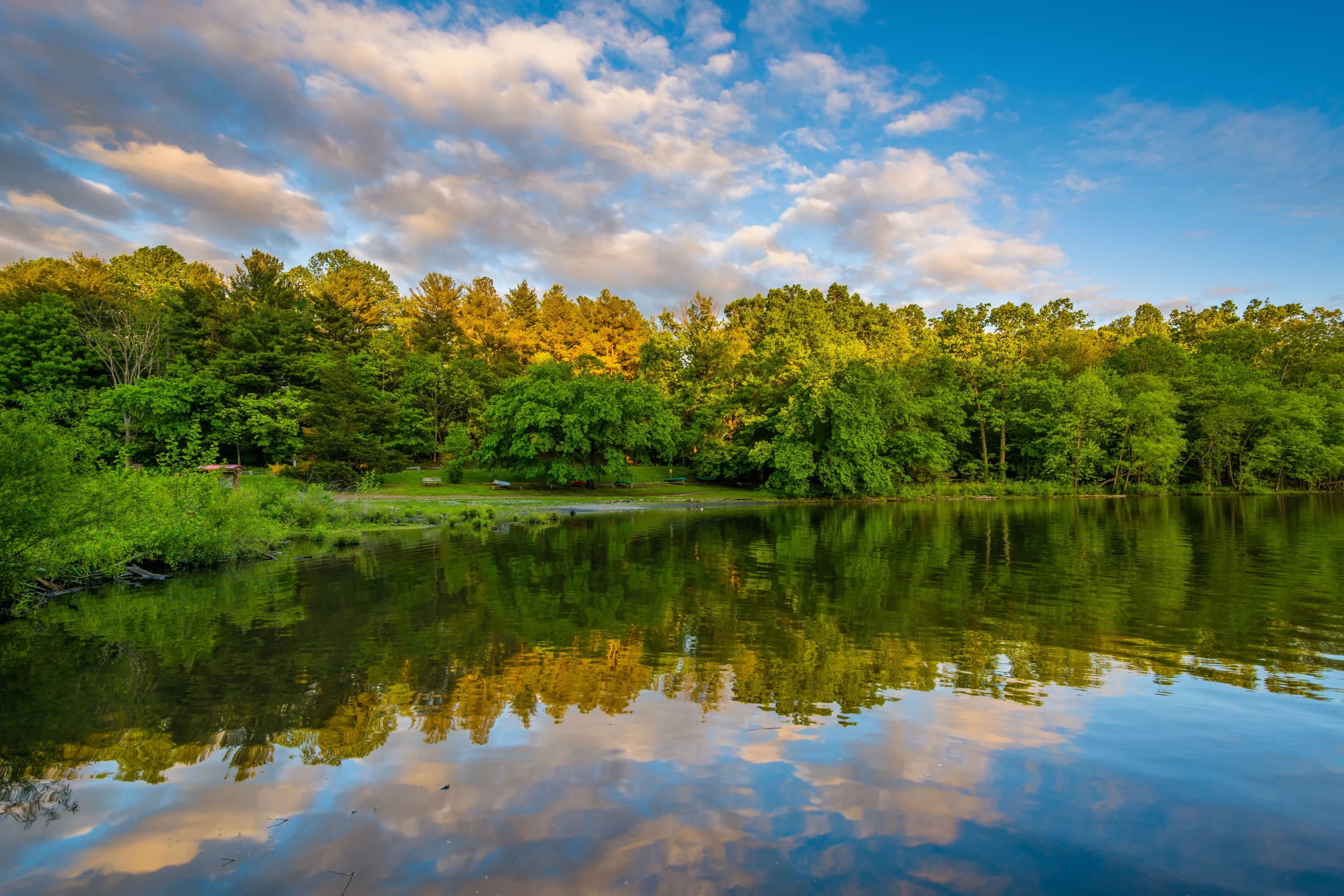 medical marijuana doctors in Derwood, MD