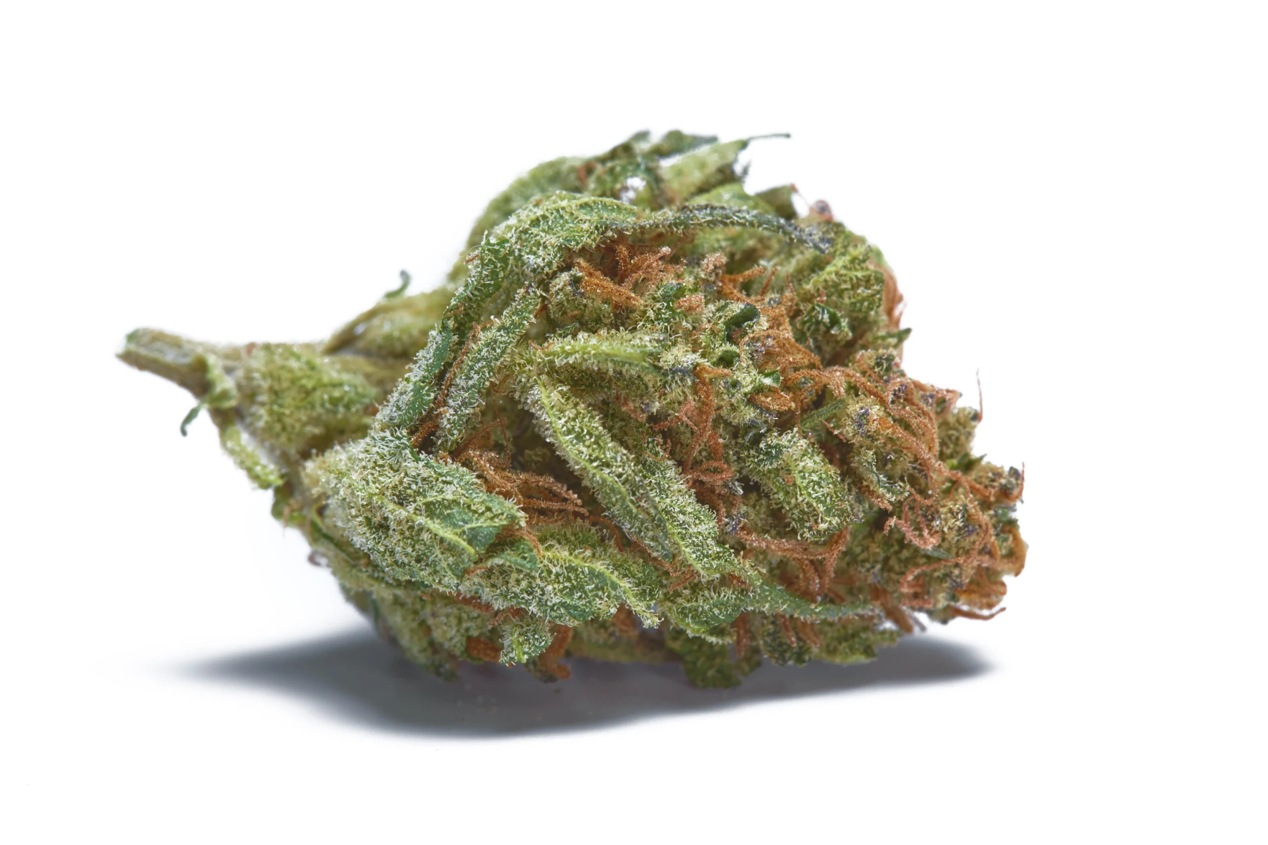 Blue Cookies strain