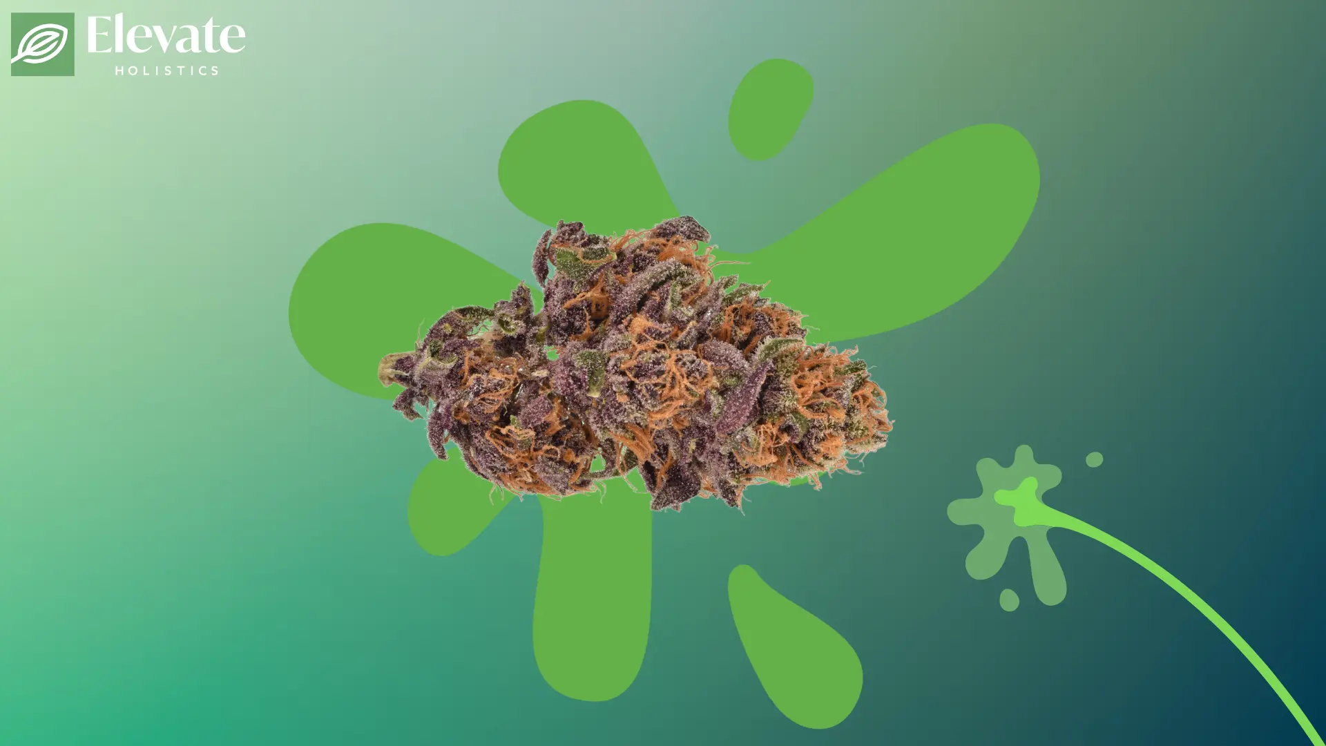 gushers strain