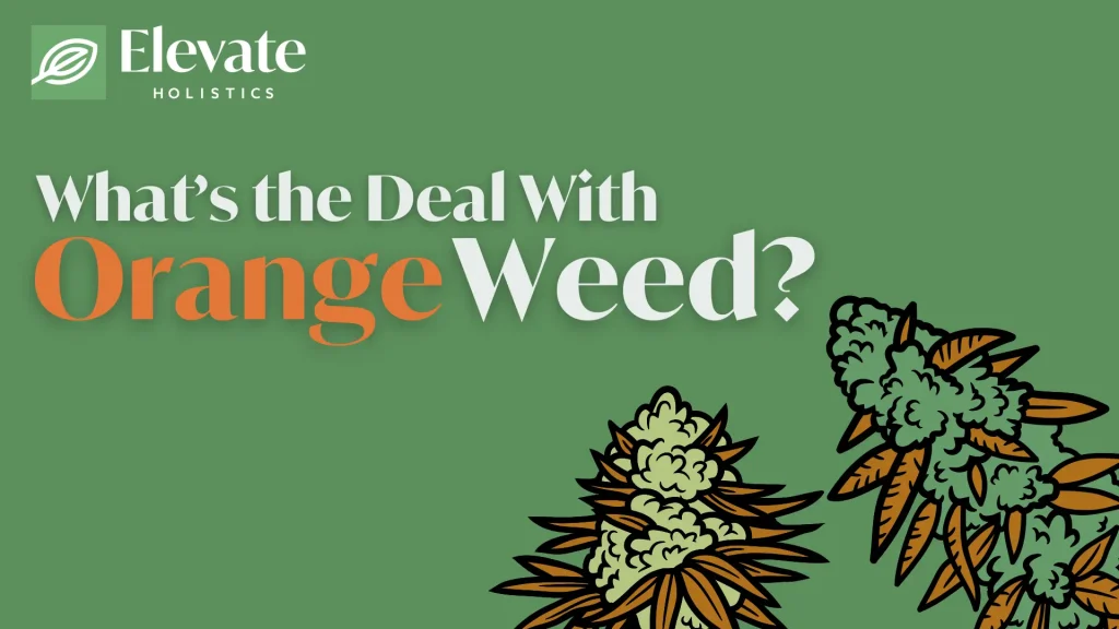 orange weed