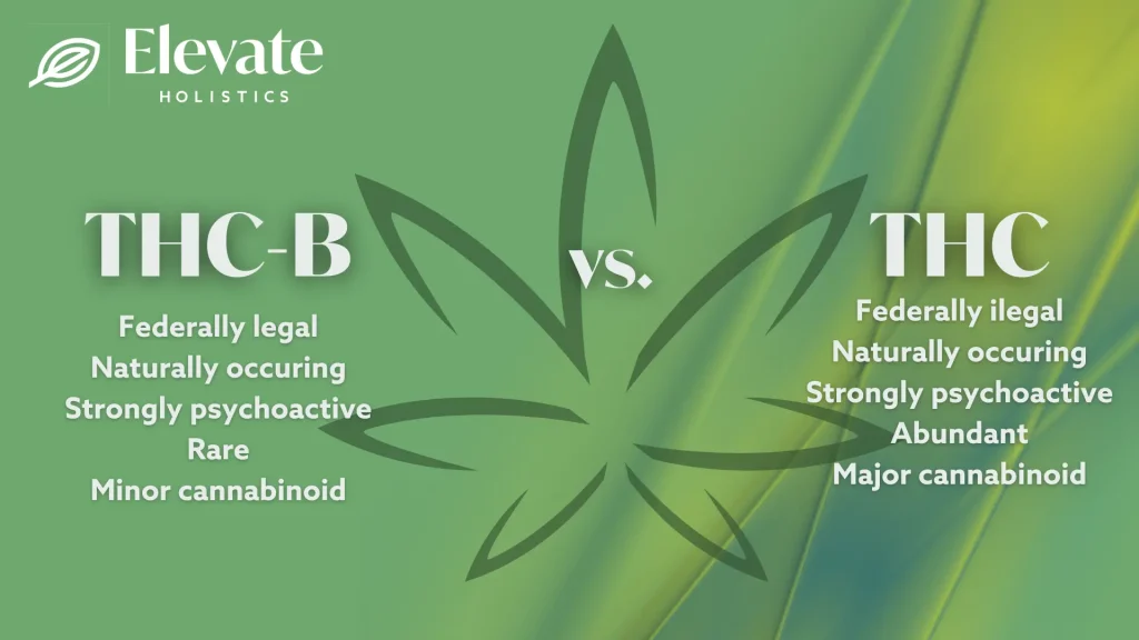 What is THC B