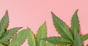 Is THCP synthetic?