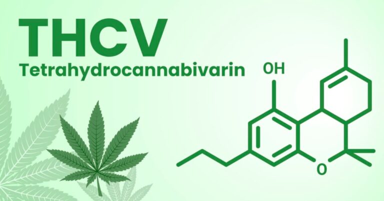 THCV
